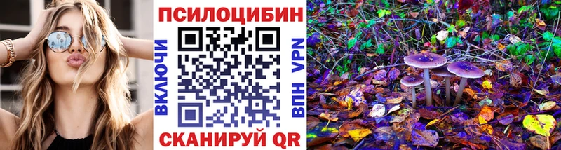 наркотики  Чердынь  Псилоцибиновые грибы Cubensis 